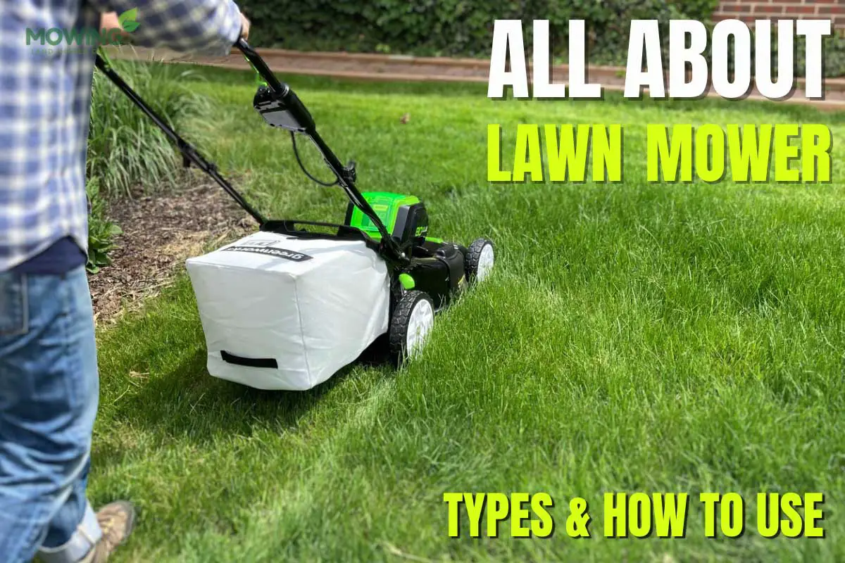 All About The Lawn Mowers, Types & How to Use?